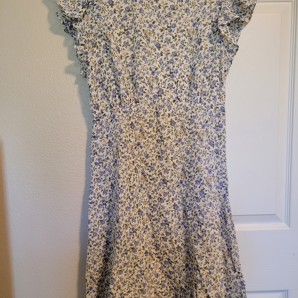 Reformation Blue and Cream Floral Dress